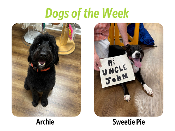 Dogs of the Week: Archie and Sweetie Pie